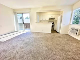 Photo #4: 250018129 Listing 