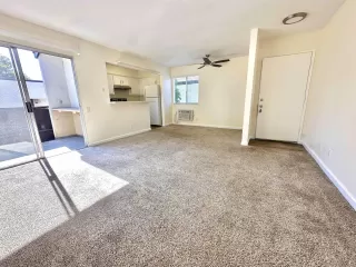 Photo #5: 250018129 Listing 