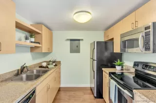 Photo #6: 250018193 Listing