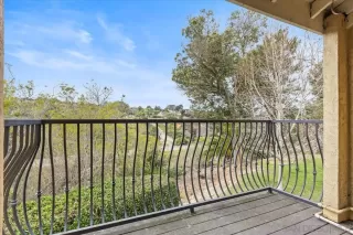 Photo #5: 250018262 Listing 