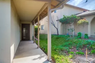 Photo #1: 250018485 Listing