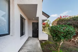 Photo #1: 250018858 Listing 