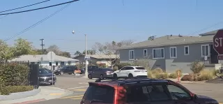 Photo #5: 250018882 Listing 