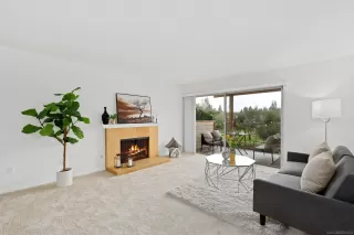 Photo #1: 250019027 Listing