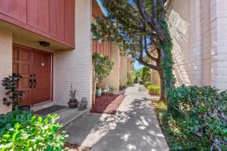 Photo #1: 250019202 Listing