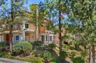 Photo #1: 250019369 Listing