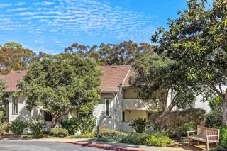 Photo #1: 250019429 Listing