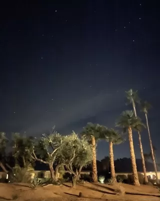 Photo #5: 250019542 Listing