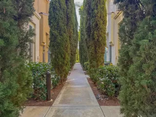 Photo #4: 250019634 Listing