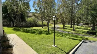 Photo #3: 250019639 Listing 