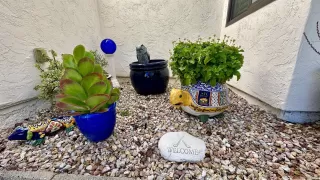 Photo #5: 250019639 Listing 