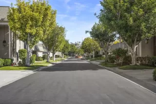 Photo #3: 250019830 Listing 