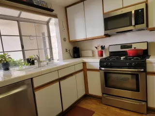 Photo #5: 250019852 Listing