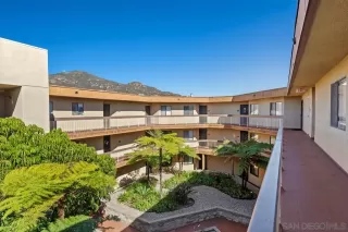 Photo #2: 250019878 Listing