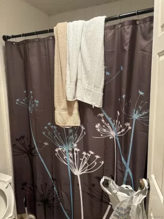 Photo #6: 250019976 Listing 