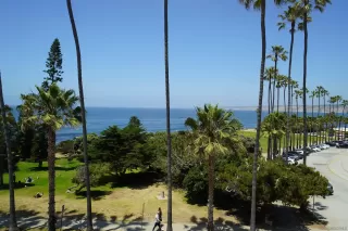 Photo #1: 250020392 Listing
