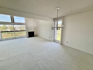 Photo #1: 250020419 Listing 