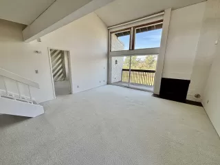 Photo #3: 250020419 Listing 