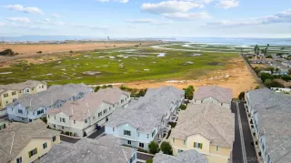 Photo #3: 250020423 Listing 