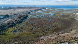 Photo #1: 250020424 Listing 