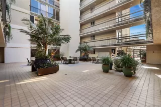 Photo #4: 250020509 Listing 