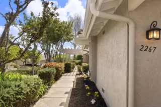 Photo #1: 250020540 Listing