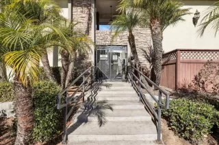 Photo #1: 250020562 Listing 