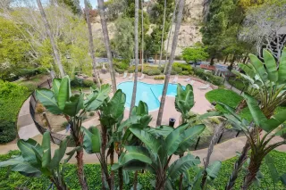 Photo #1: 250020737 Listing 