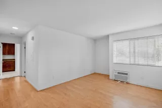 Photo #1: 250020801 Listing 