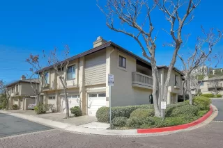 Photo #2: 250020815 Listing