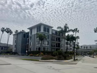 Photo #4: 250020908 Listing 