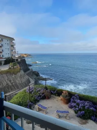 Photo #3: 250021042 Listing