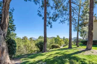 Photo #1: 250021055 Listing