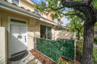 Photo #1: 250021085 Listing 