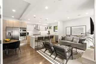 Photo #1: 250021221 Listing 