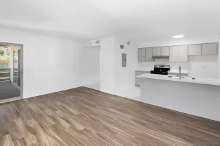 Photo #1: 250021264 Listing