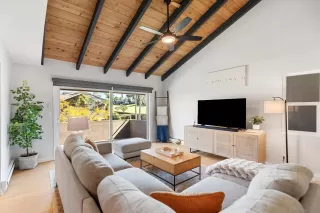 Photo #1: 250021310 Listing