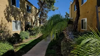 Photo #1: 250021322 Listing