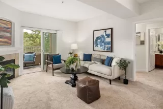 Photo #4: 250021362 Listing