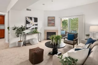 Photo #6: 250021362 Listing