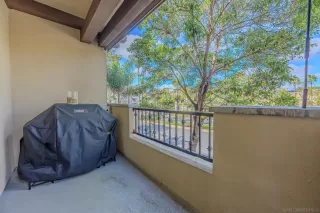 Photo #6: 250021394 Listing