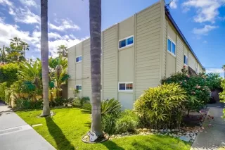 Photo #1: 250021491 Listing 