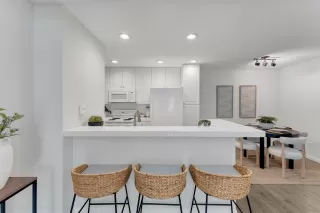 Photo #4: 250021547 Listing 