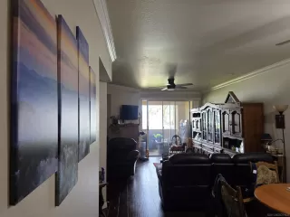 Photo #5: 250021837 Listing