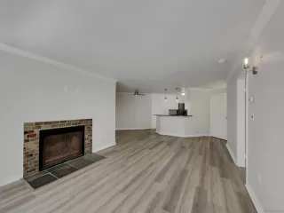 Photo #2: 250021988 Listing 