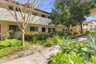 Photo #1: 250022062 Listing 