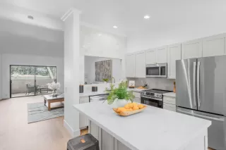 Photo #1: 250022086 Listing 