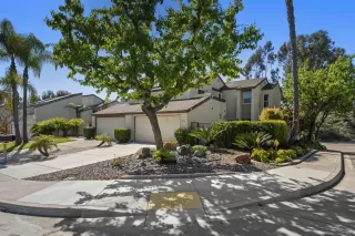 Photo #1: 250022102 Listing