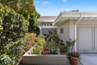 Photo #1: 250022110 Listing