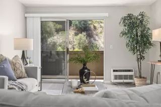 Photo #5: 250022157 Listing